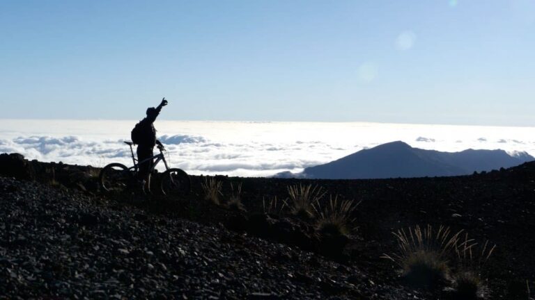 Maui Bike Trails: Exploring The Aloha State On Two Wheels